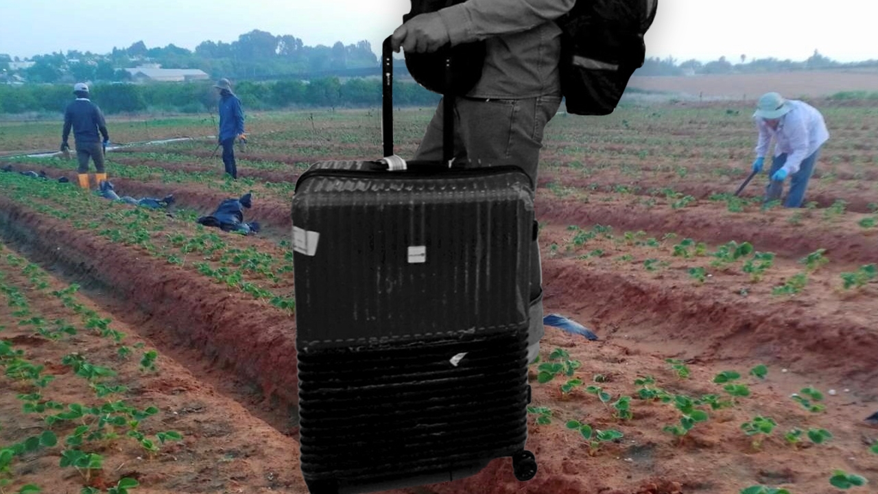 เรื่องจริงของแรงงานไทยในอิสราเอล ได้เงินเยอะ บางคนกลับไทย หนี้สินยังติดตัว