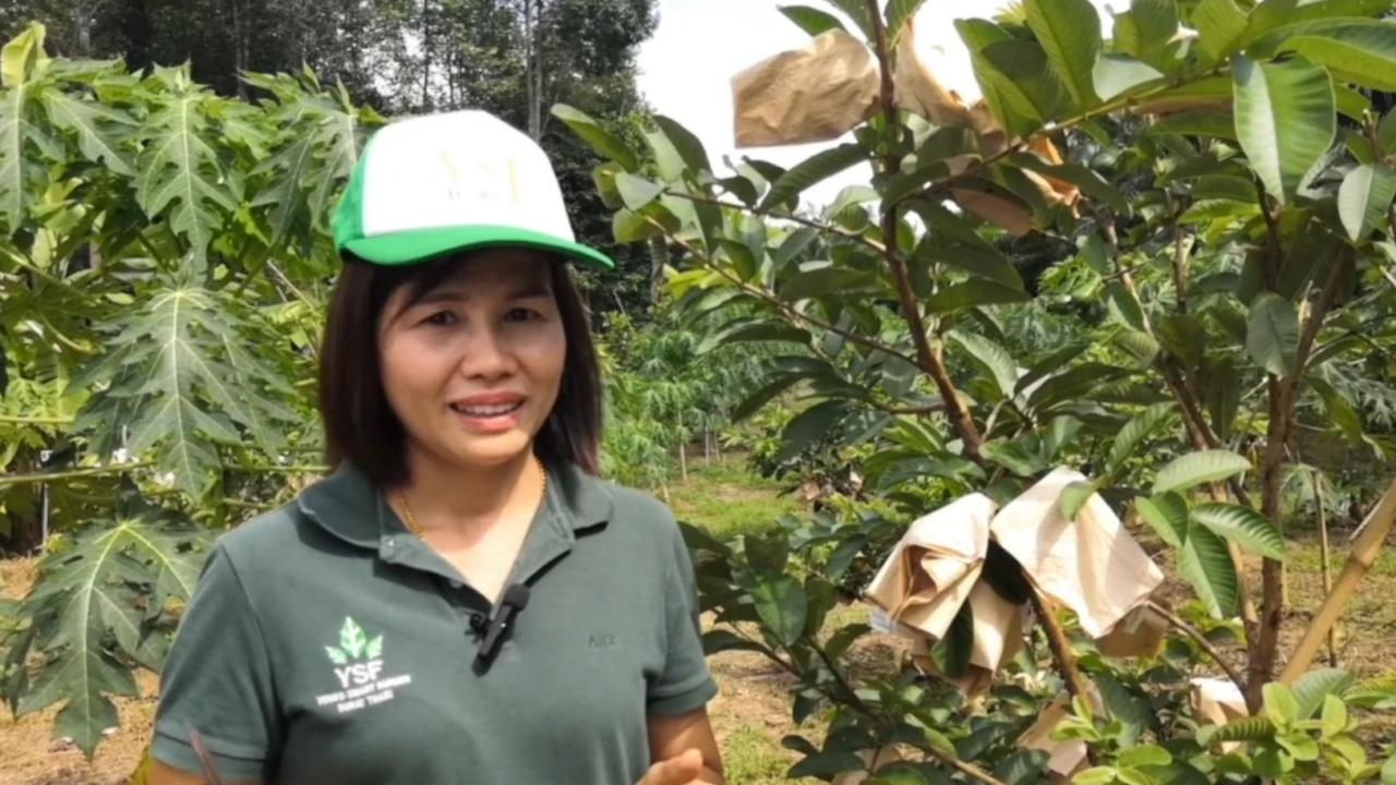 พยาบาลสาวผันตัวเป็นชาวสวน ทำฟาร์มปลูกฝรั่งและมะละกอ ขายออนไลน์ทำเงินเป็นแสน