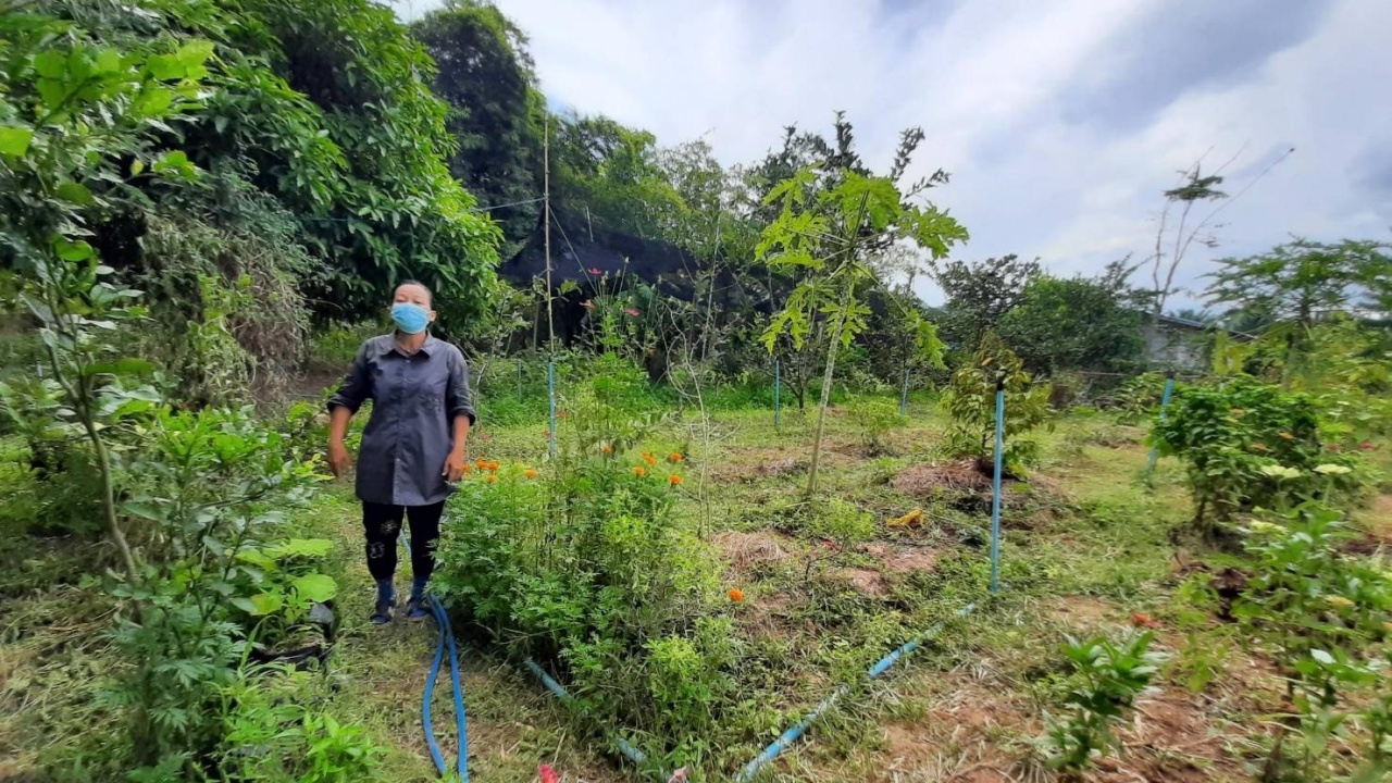 เกษตรกรชลบุรี ทำเกษตรผสมผสาน สร้างรายได้ด้วยเศรษฐกิจพอเพียง 