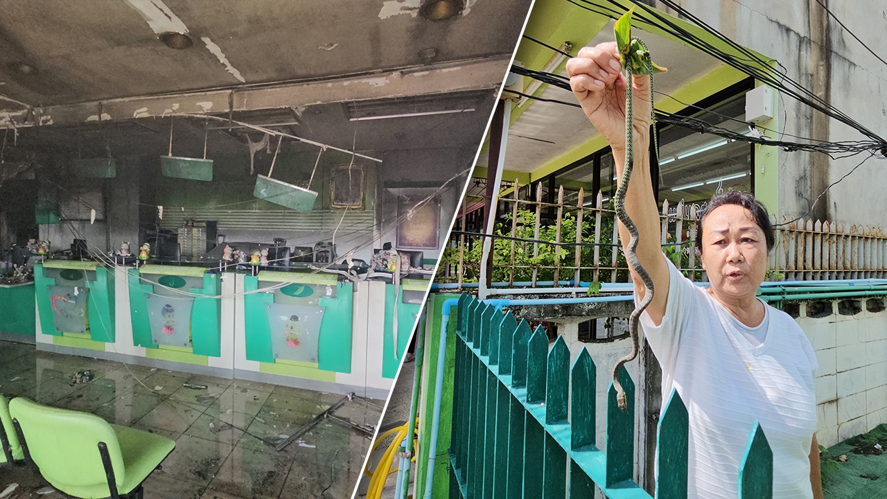 ไฟไหม้วอดเคาน์เตอร์ ห้องผู้จัดการ ธ.ก.ส. คาดงูเขียวตัวการ