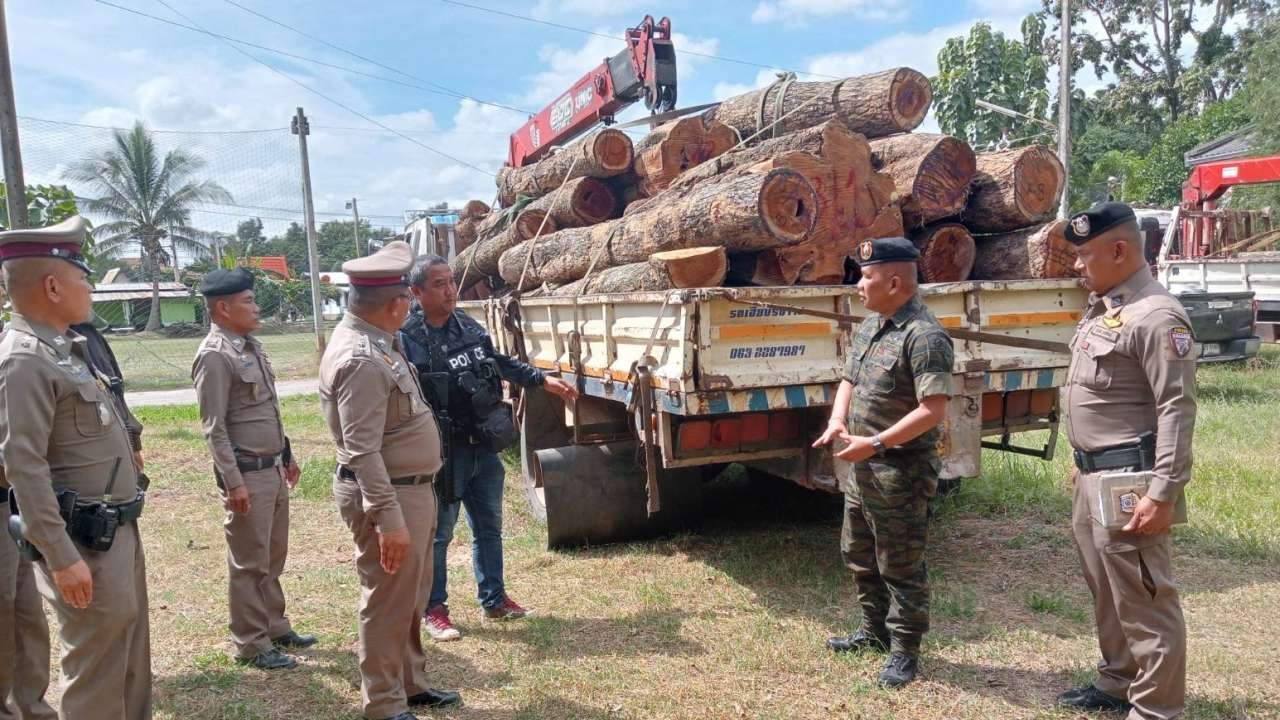 กาฬสินธุ์ สนธิกำลังจับยกแก๊งมอดไม้ลอบตัดไม้ประดู่ พื้นที่ ส.ป.ก.