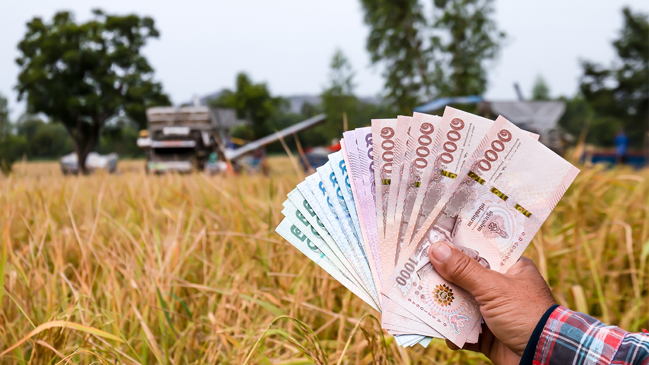 ชาวนาได้แน่! เงินพันบาทต่อไร่ ครม.เคาะวงเงิน 5.5 หมื่นล้านพยุงราคาข้าว