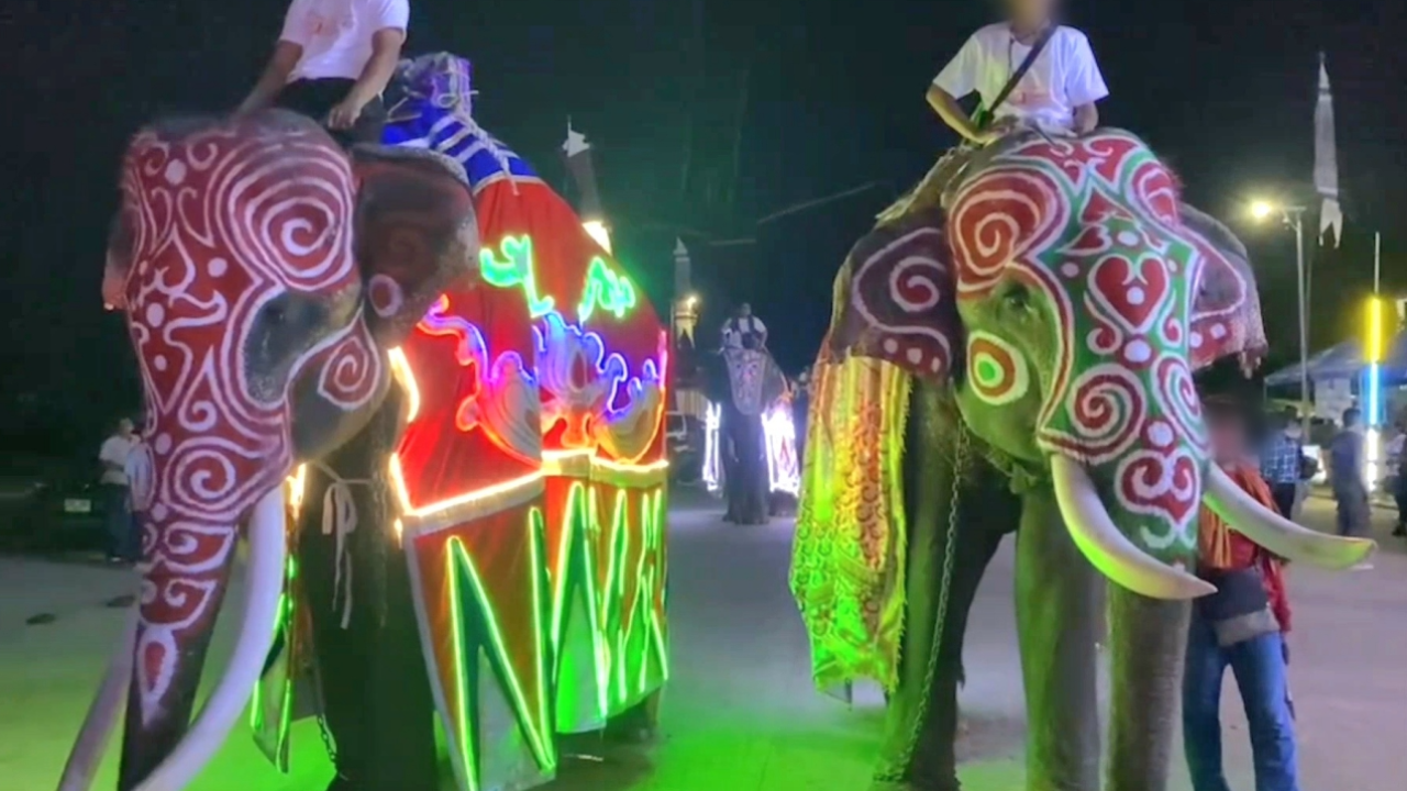 ควาญแจงดราม่างานกฐินช้าง คลุมผ้าติดไฟประดับ-ทาสี ยันไม่อันตราย