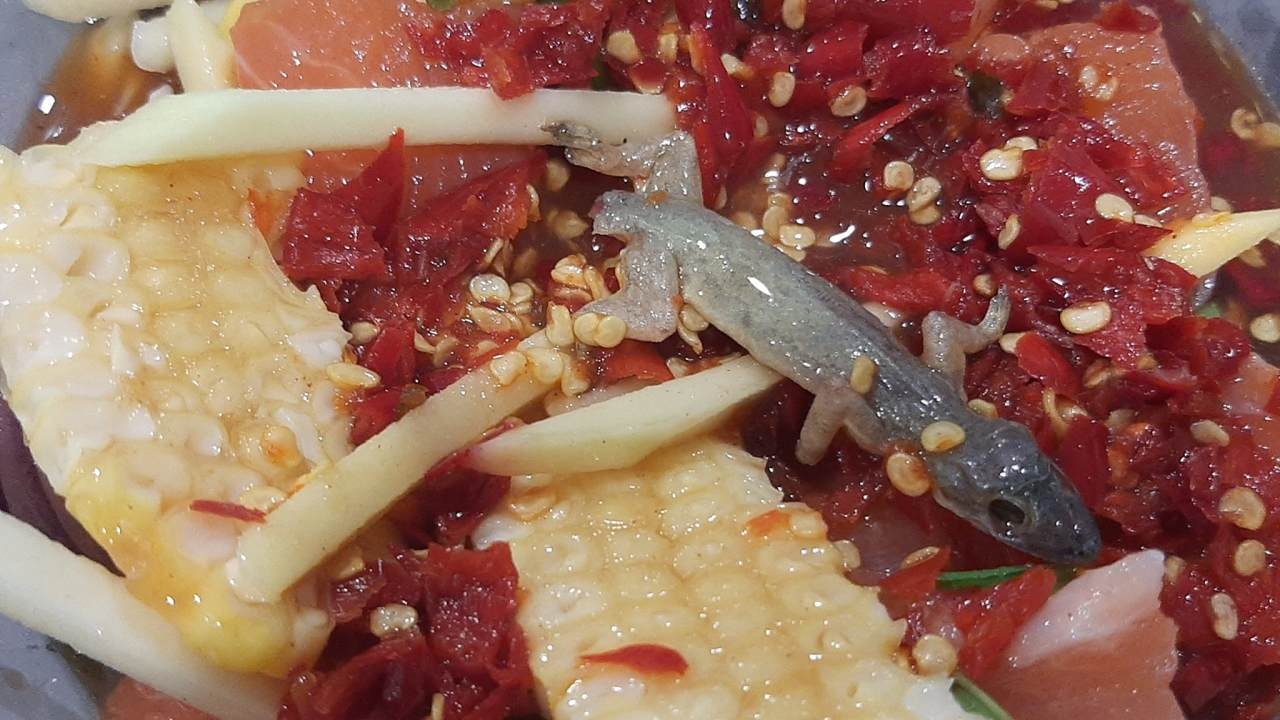 สยองมาก สาวซื้อยำแซลมอน แต่ได้ "ยำจิ้งจก" โผล่มาทั้งตัว ทำเอาอ้วกเกือบพุ่ง