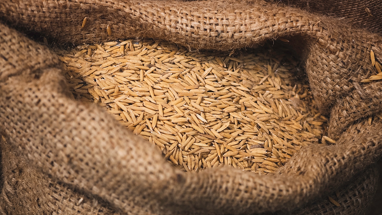 โศกนาฏกรรมจำนำข้าว