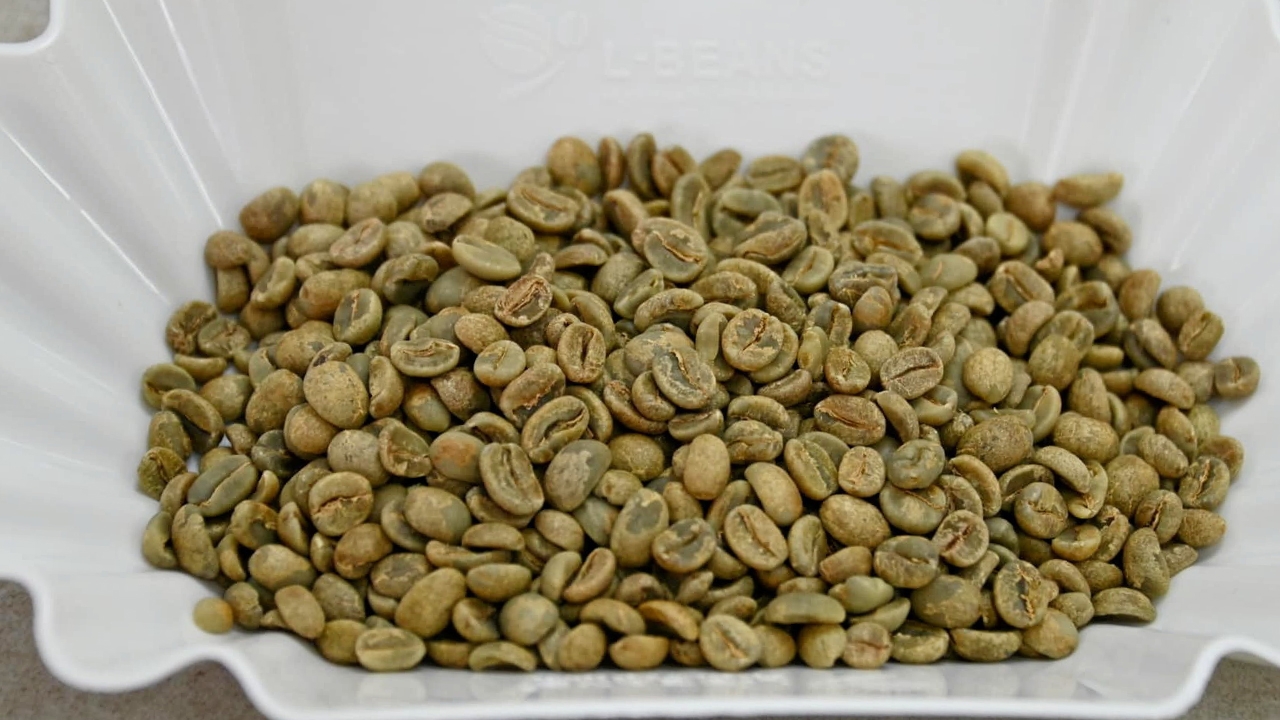 สุดยอดกาแฟไทย 2566