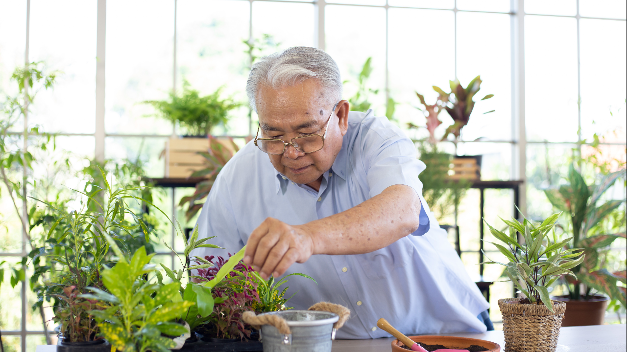 ผู้สูงอายุมีอายุยืนเกิน 100 ปี ได้อย่างไร