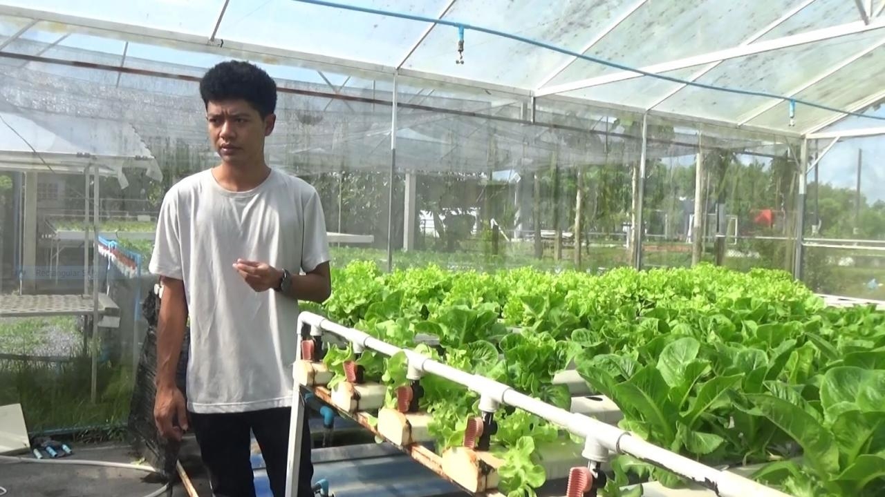 หนุ่มสตูลปลูกผักไฮโดรโปนิกส์ เป็นอาชีพเสริม ขายได้เดือนละ 6 หมื่นแซงงานประจำ