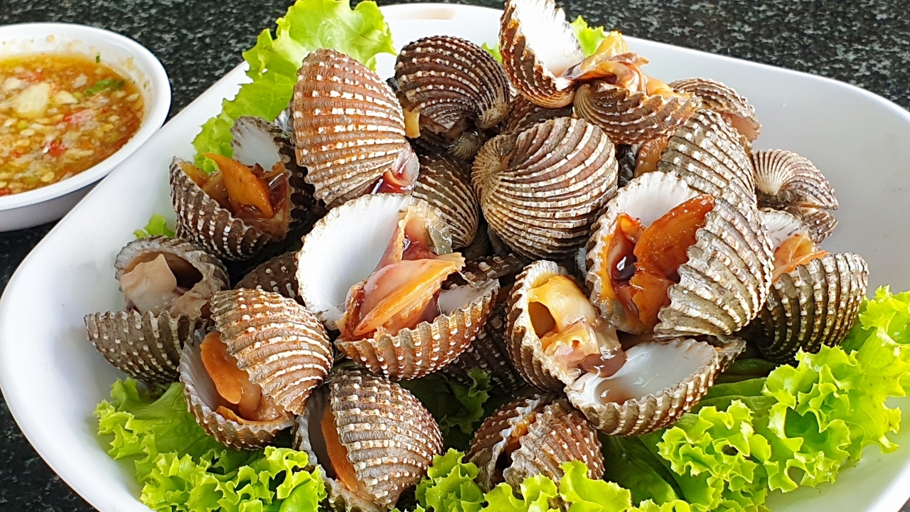 อาจารย์เจษฎ์ ชี้ "หอยแครง" ไม่ได้ทำให้เป็น "มะเร็ง" แต่แนะนำปรุงสุกดีที่สุด