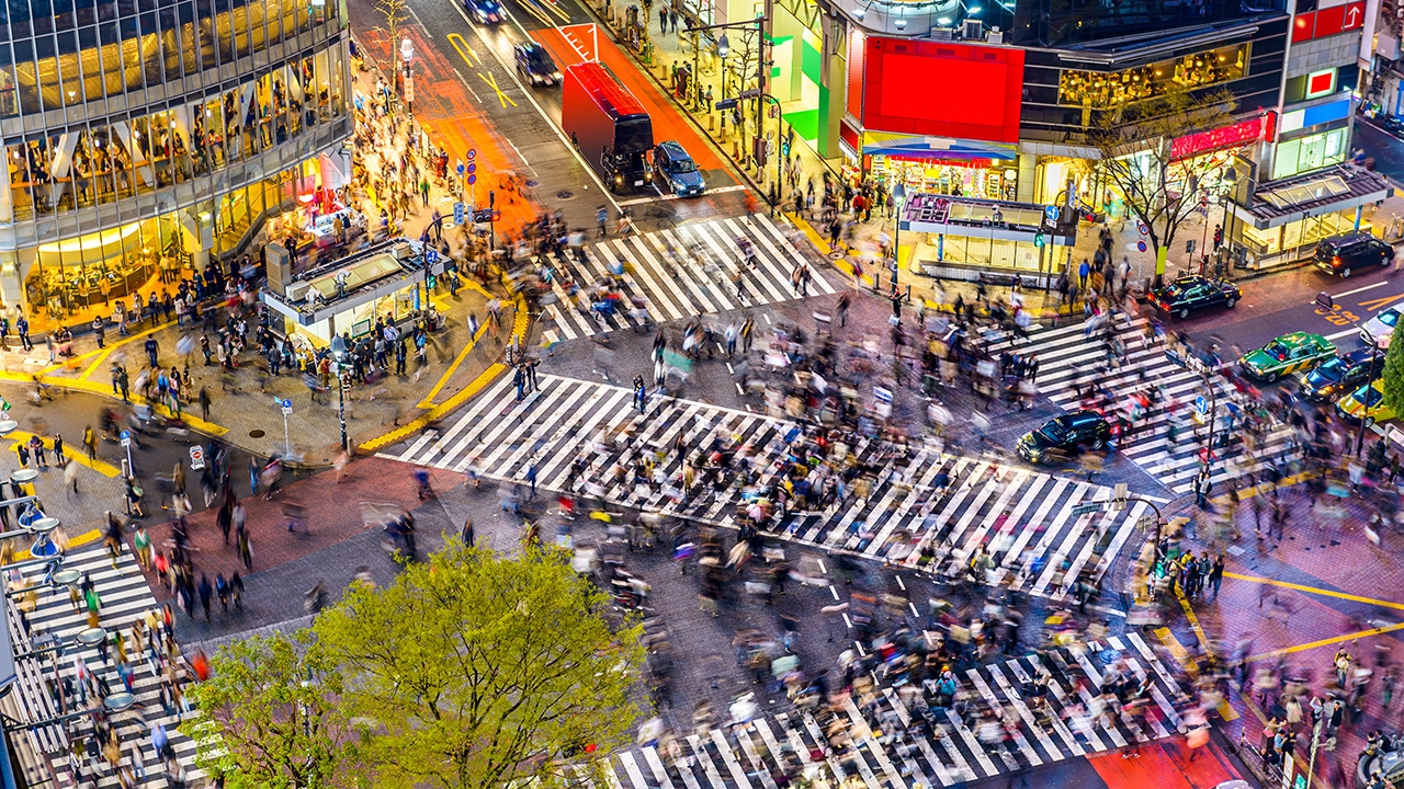 เช็กอิน “ห้าแยกชิบูย่า” รายงานตัว “พี่หมา” กตัญญู