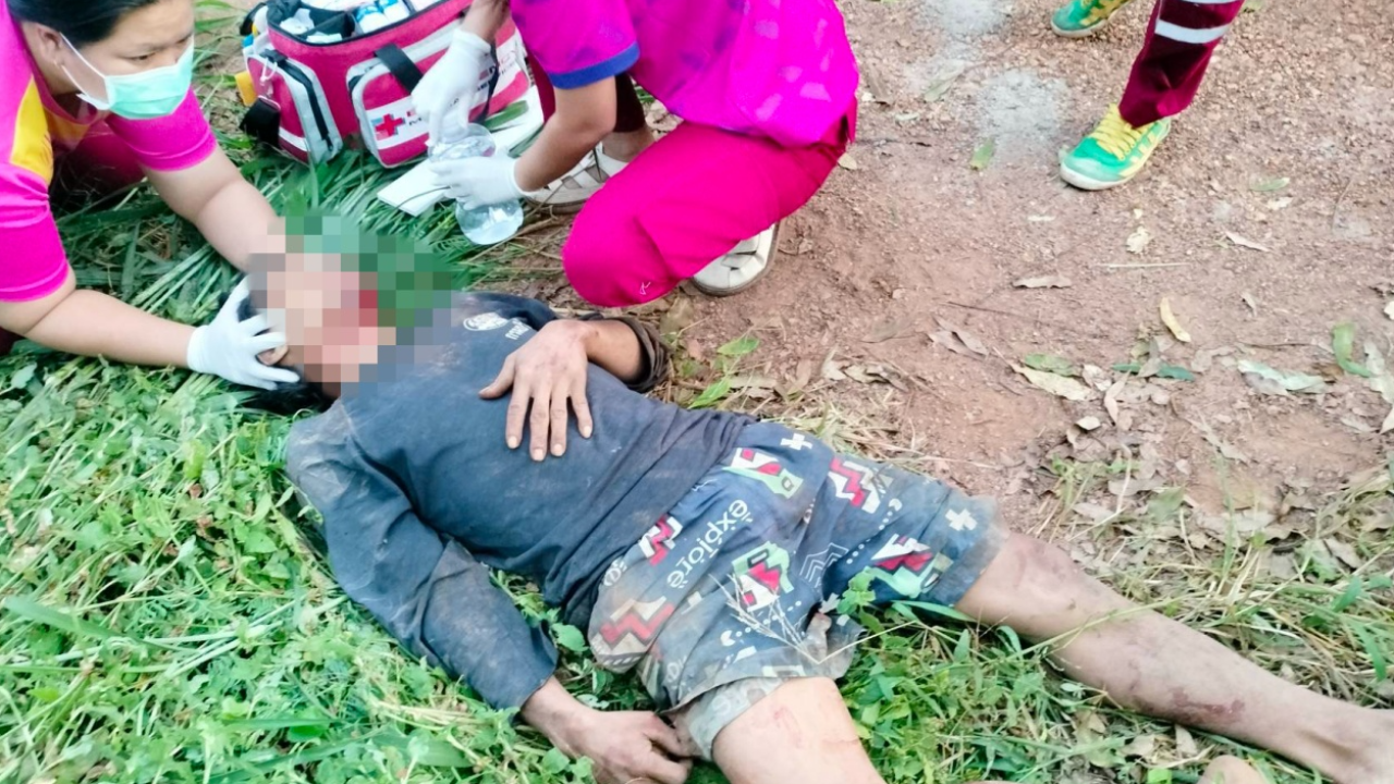 ช่วยชาวนาท่ากระดาน โดนช้างป่าทำร้าย เลือดออกปากออกจมูก