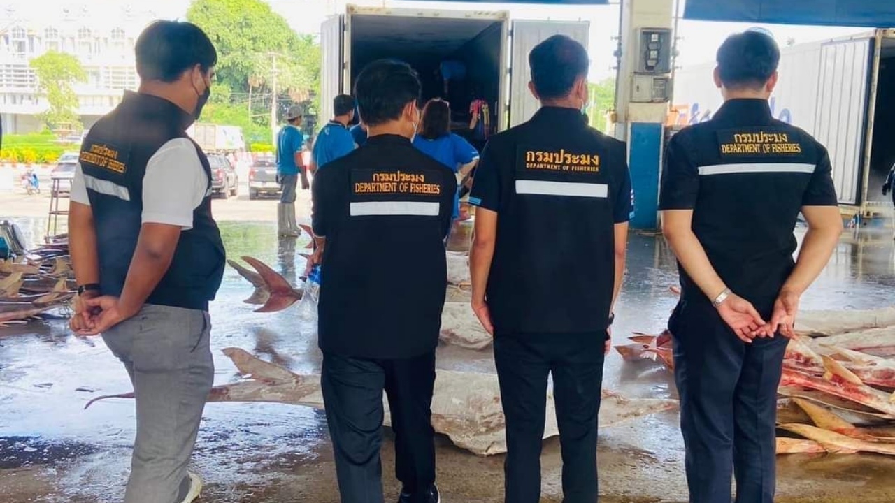 กรมประมง จัดชุดฉลามขาวลุยปราบสินค้าเกษตรเถื่อน อุดช่องโหว่การส่งออก-นำเข้า
