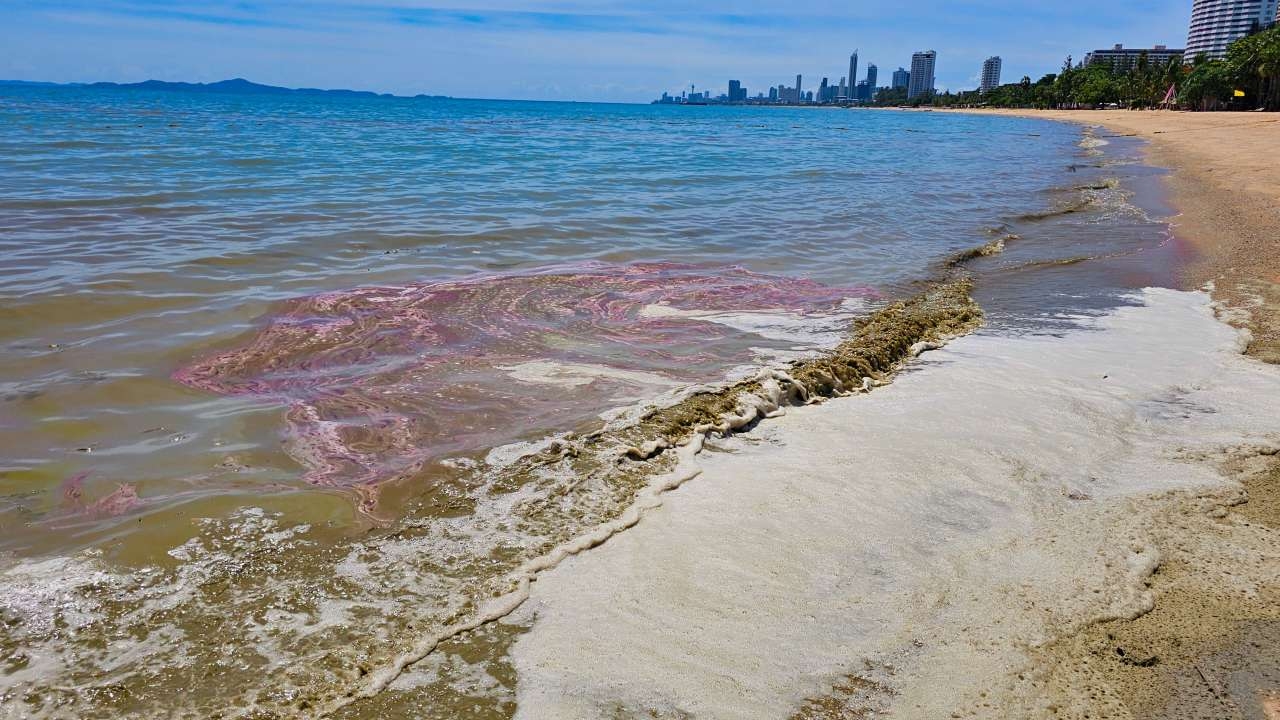 คราบน้ำมันปริศนา ลอยเกยหาดนาจอมเทียน หวั่นถูกปล่อยจากเรือของกลางที่หาย