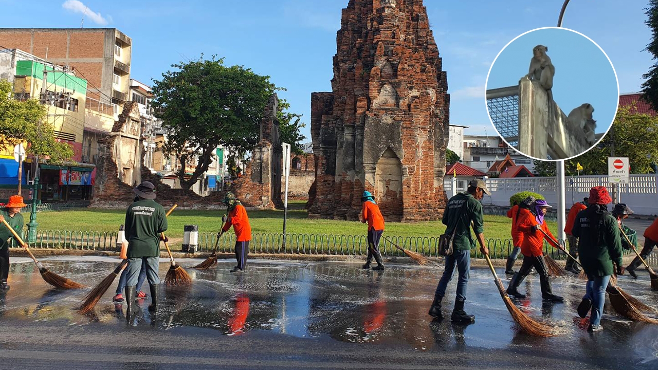 "เมืองลพบุรี" บิ๊กคลีนนิ่ง ทำความสะอาดครั้งใหญ่ จำนวนลิงลดลงกว่า 95%