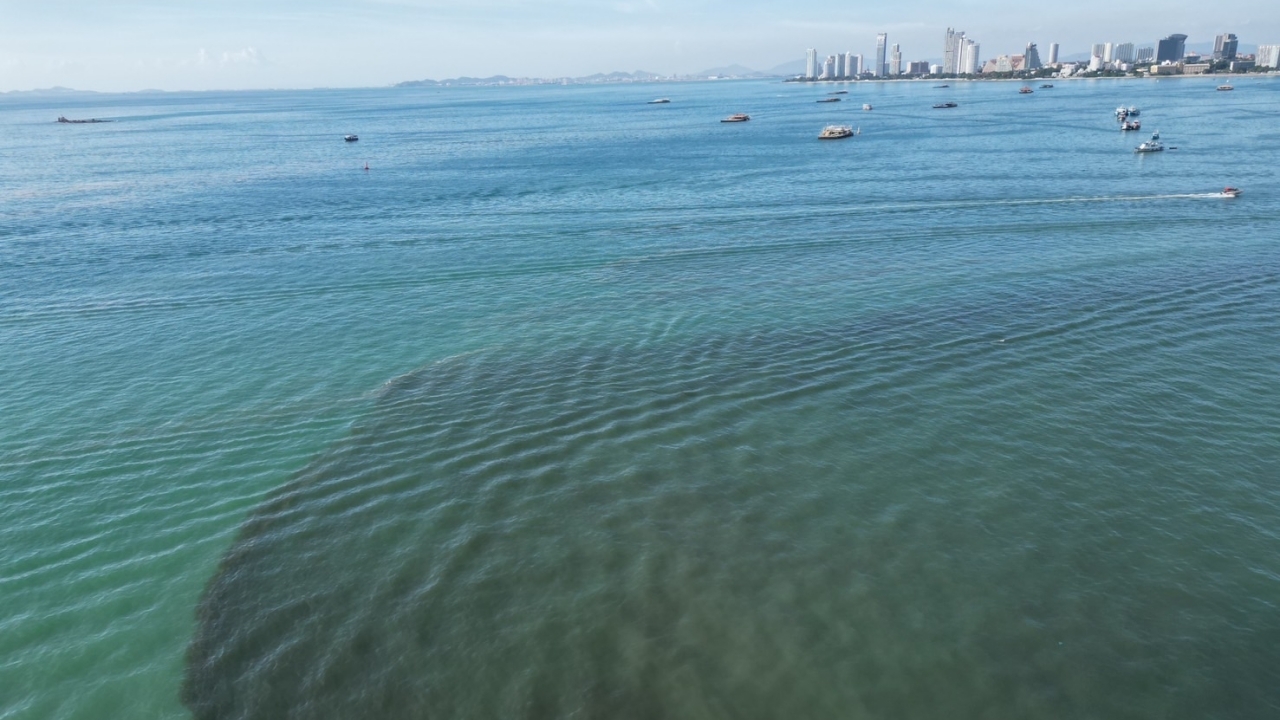 พบคราบน้ำมันลอยเต็ม "ทะเลพัทยา" โซเชียลคาใจ เกี่ยวคดีเรือของกลางหายหรือไม่