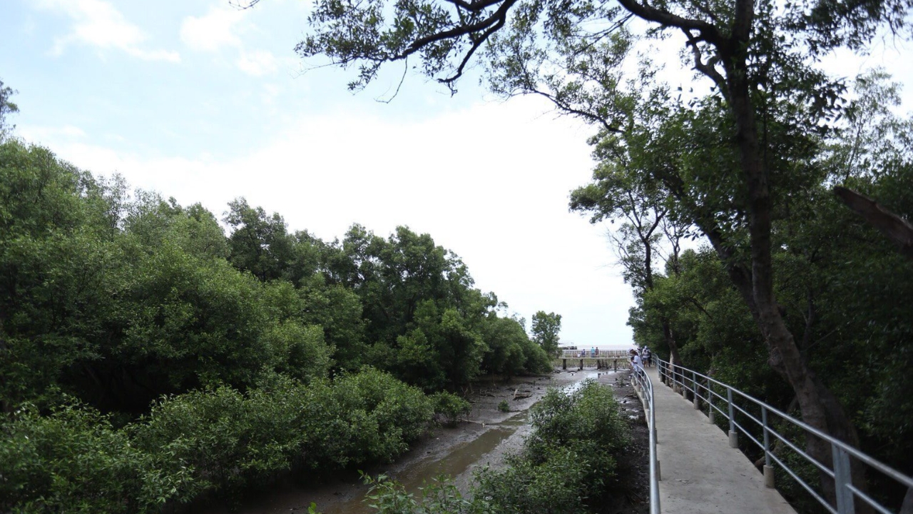 ครม. เห็นชอบศูนย์ศึกษาธรรมชาติกองทัพบก (บางปู) ขึ้นทะเบียนอุทยานมรดกแห่งอาเซียน
