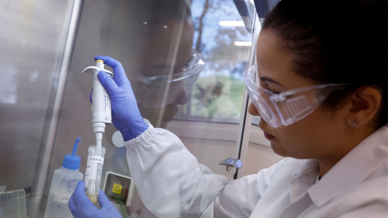 ผวา องค์การอนามัยโลก ยืนยันพบคนเสียชีวิตจากไข้หวัดนก H5N2 รายแรกของโลก