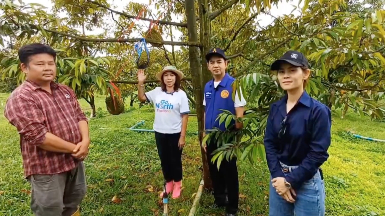 ทุเรียนน้ำแร่พบพระยังฟีเวอร์ ล้งจีนกว้านซื้อร้อยตัน หลังรสชาติถูกใจคอทุเรียน