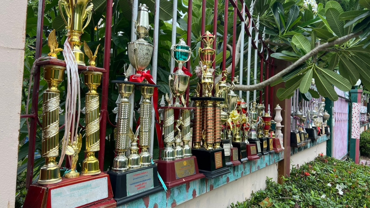 มีดีก็ต้องโชว์ เปิดใจเจ้าของบ้าน เผยที่มาคลิปไวรัล วาง "ถ้วยรางวัล" ประดับรั้ว