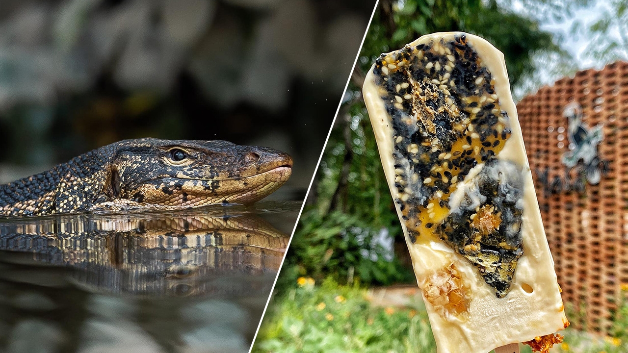 ร้านดังเปิดตัว ไอศกรีมรสใหม่ I’m Here ขอความกรุณา อย่าใส่อารมณ์ตอนสั่ง