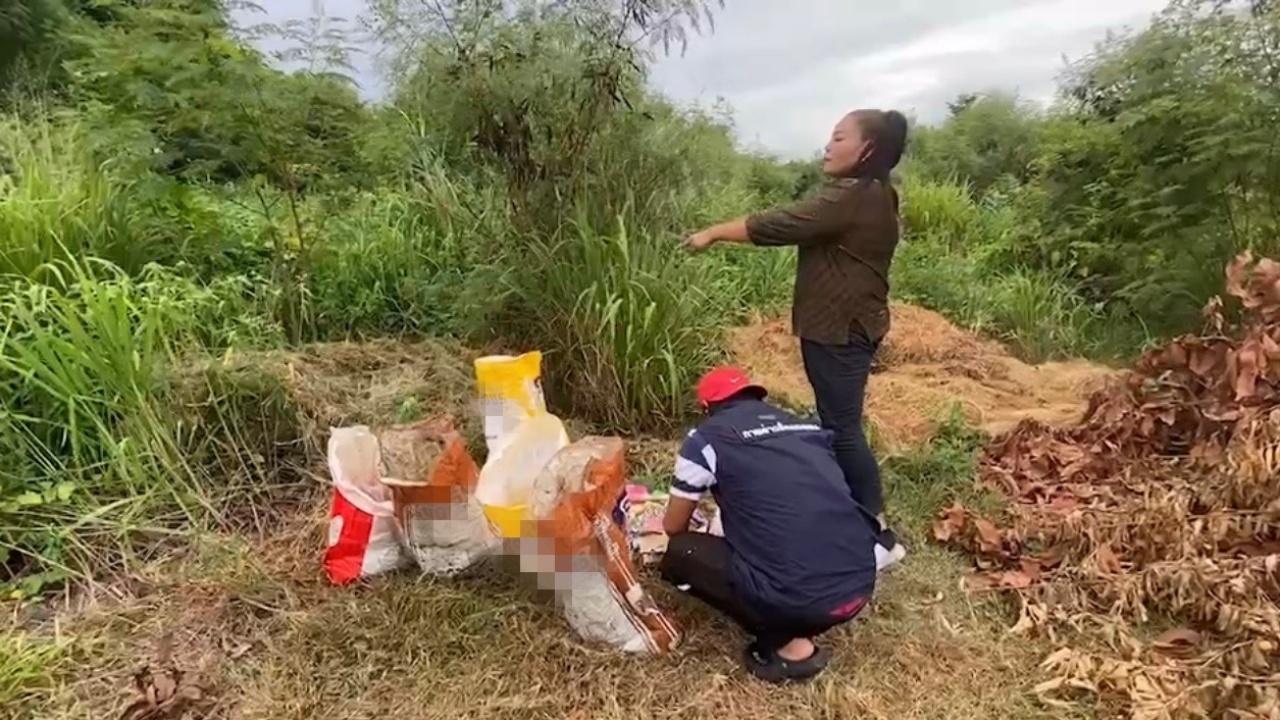 สลด เจอร่างสุนัขพุดเดิ้ลผสมชิสุ ตายในกระสอบ 11 ตัว ถูกทิ้งป่ารกร้าง 