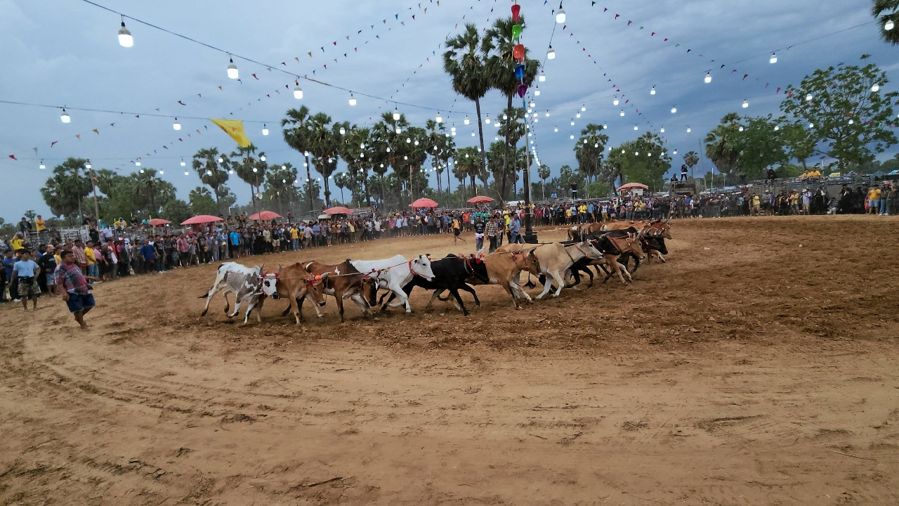 มท. จ่อชง ครม. เคาะกรอบเวลาแข่งวัวลานใหม่ “อนุทิน” สั่งเข้มป้องกันผลกระทบสังคม