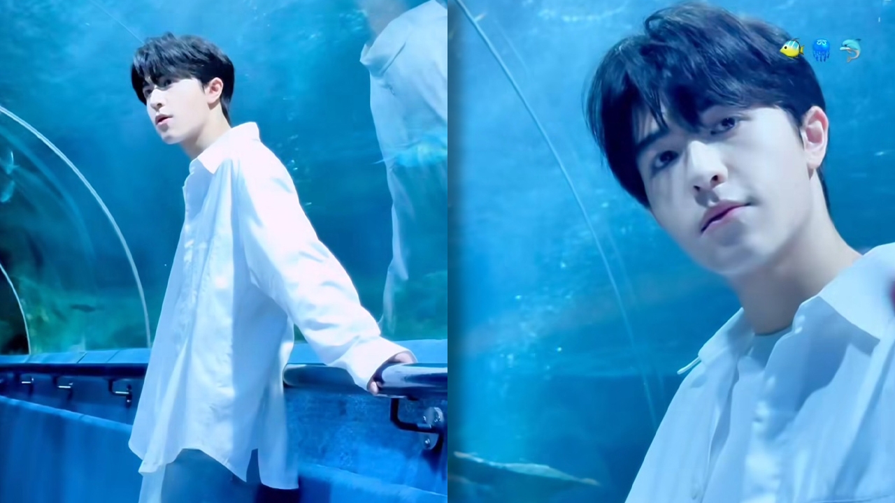 พลังรักเจ้าปลาดาว ทำแฮชแท็ก แพทริค พุ่งติดเทรนด์โลก หลังลงคลิปให้หายคิดถึง