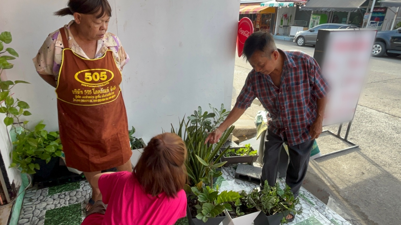 คอหวยแห่ส่อง "ต้นลิ้นมังกร" ออกดอก หลังงวดที่แล้ว "เลขเด็ด" ให้โชคเจ้าของบ้าน