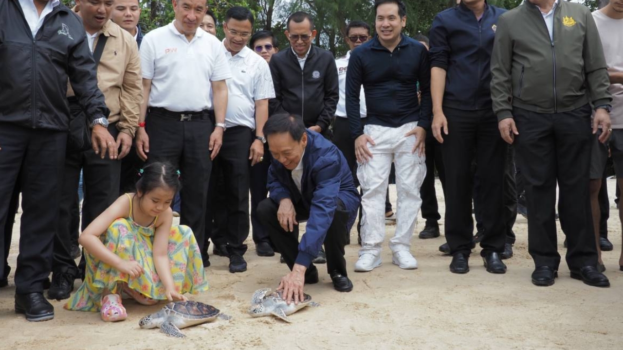 “กรมทะเล” ปลูกจิตสำนึก “วันเต่าทะเลโลก” รณรงค์รักษาทรัพยากรทางทะเล