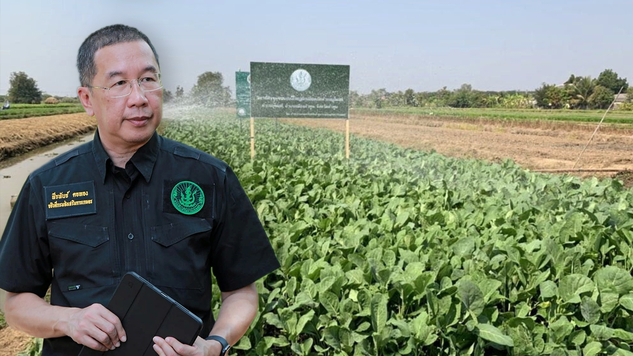 วิธีดูแลพืชผักในหน้าฝน ป้องกันโรคลดการสูญเสีย