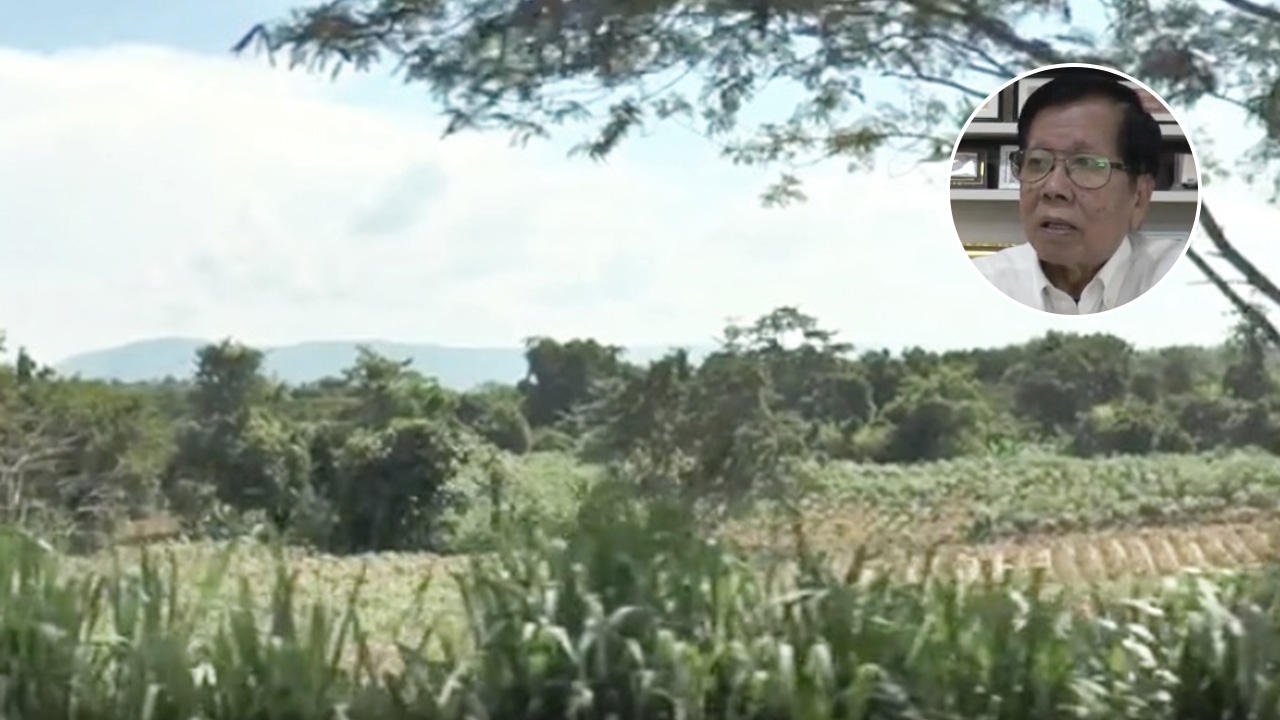 "คิดให้ดี" นักวิชาการเตือน รบ. ระวังตกม้าตาย เฉือนป่าทับลาน 2.6 แสนไร่