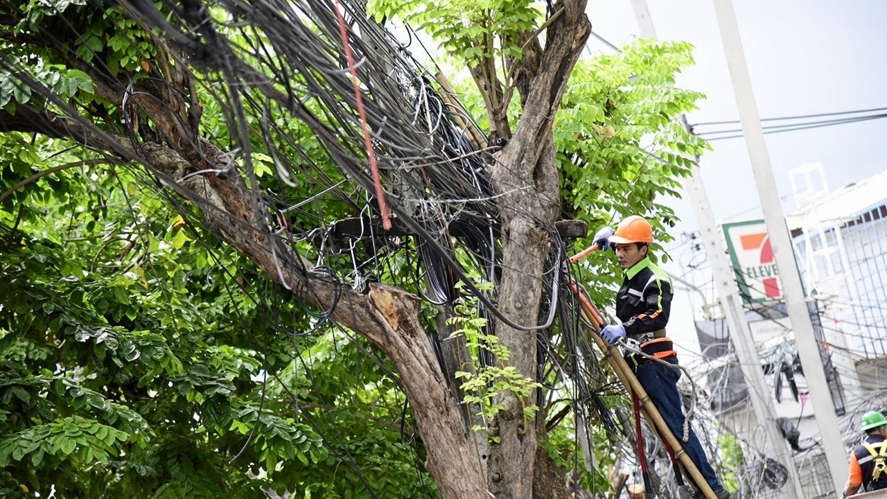 กทม. - การไฟฟ้าฯ ลงมือจัด สายสื่อสารสุทธิสารลงดิน