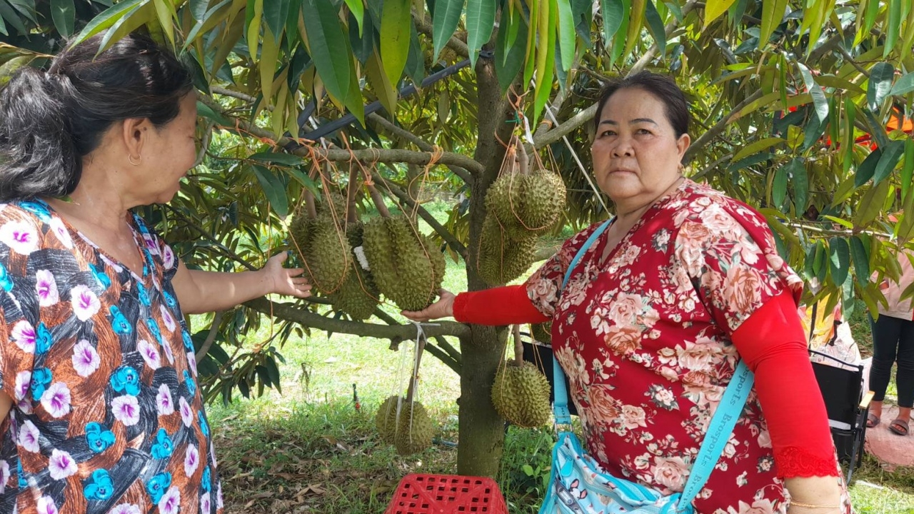 ทุเรียนหมอนทองสวนแรกที่ อ.บ้านดุง อยากกินแต่หมดสิทธิ์ ติดจองเต็มหมดทุกลูก