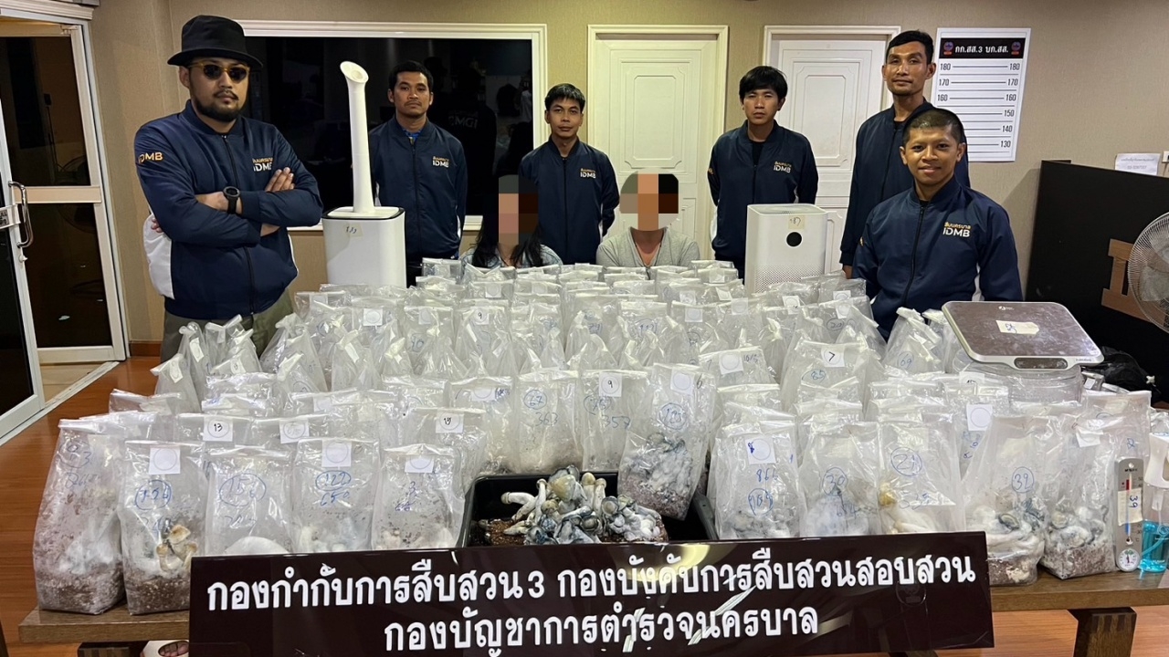 รวบ "คู่รักนักเพาะเห็ด" จัดคอร์สช่วยชีวิต-สอนกินเห็ดเมา รายได้เดือนละหลายแสน