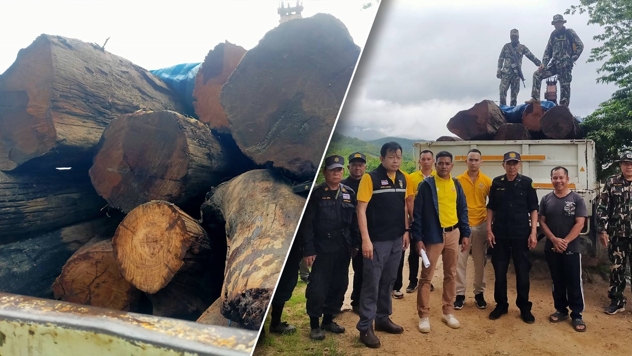 จับรถบรรทุกขนไม้กระยาเลย อ้างลอยมาตามน้ำ จะนำไปเก็บไว้หมวดทางหลวงปาย