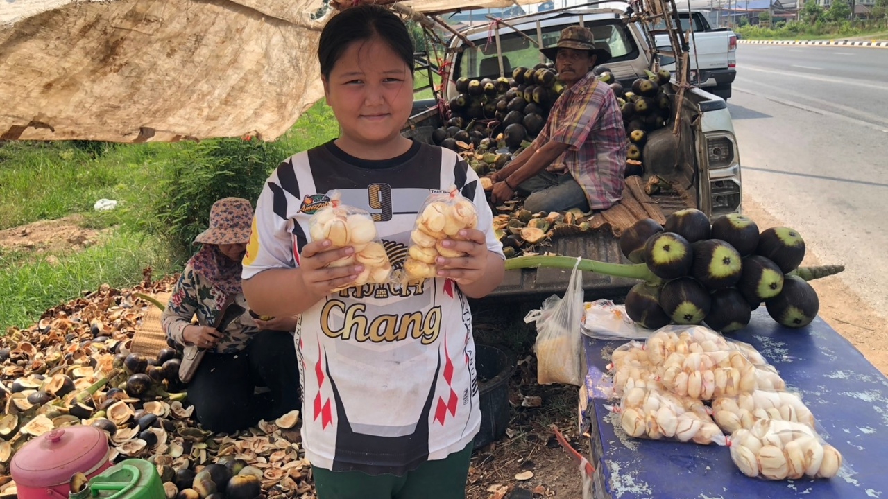 หนุ่มใหญ่กาฬสินธุ์ ยึดอาชีพขายลูกตาลสดปลอดสาร รายได้ดี ชี้หน้าแล้งหากินยาก 