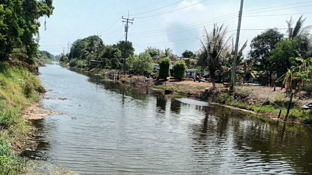 กรมส่งเสริมการเกษตรแนะเกษตรกรรับมือ แก้ปัญหาน้ำเค็มรุกสวนทะลักใน 2 จังหวัด