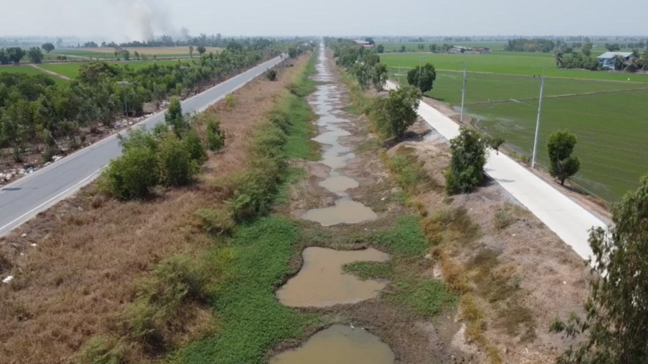 นาข้าว 2 หมื่นไร่ที่ อ.เสนา ส่อขาดน้ำ คลองหงส์ประพาสแห้งขอด วอนกรมชลฯ ช่วยด้วย