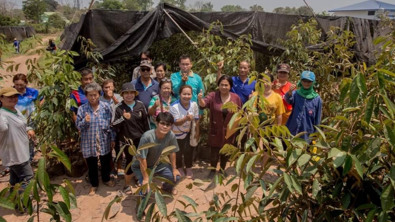 เจ๊อ้อย เจ้าของล้งทุเรียนอุตรดิตถ์ ตอบแทนสังคมแจกกล้าทุเรียนฟรีกว่า 3 หมื่นต้น 