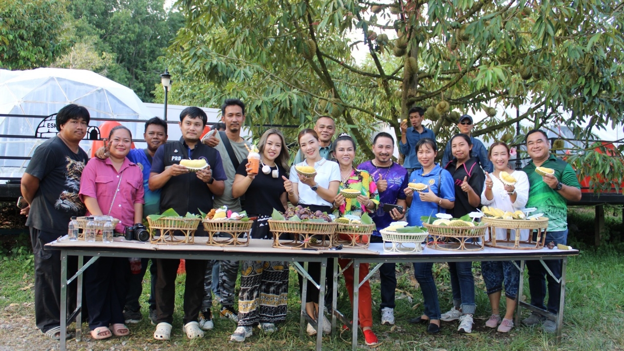 ชบา รีสอร์ท เปิดสวนให้ชิมทุเรียนจันท์ ราคาตามน้ำหนัก เริ่มต้น กก.ละ 150 บาท 