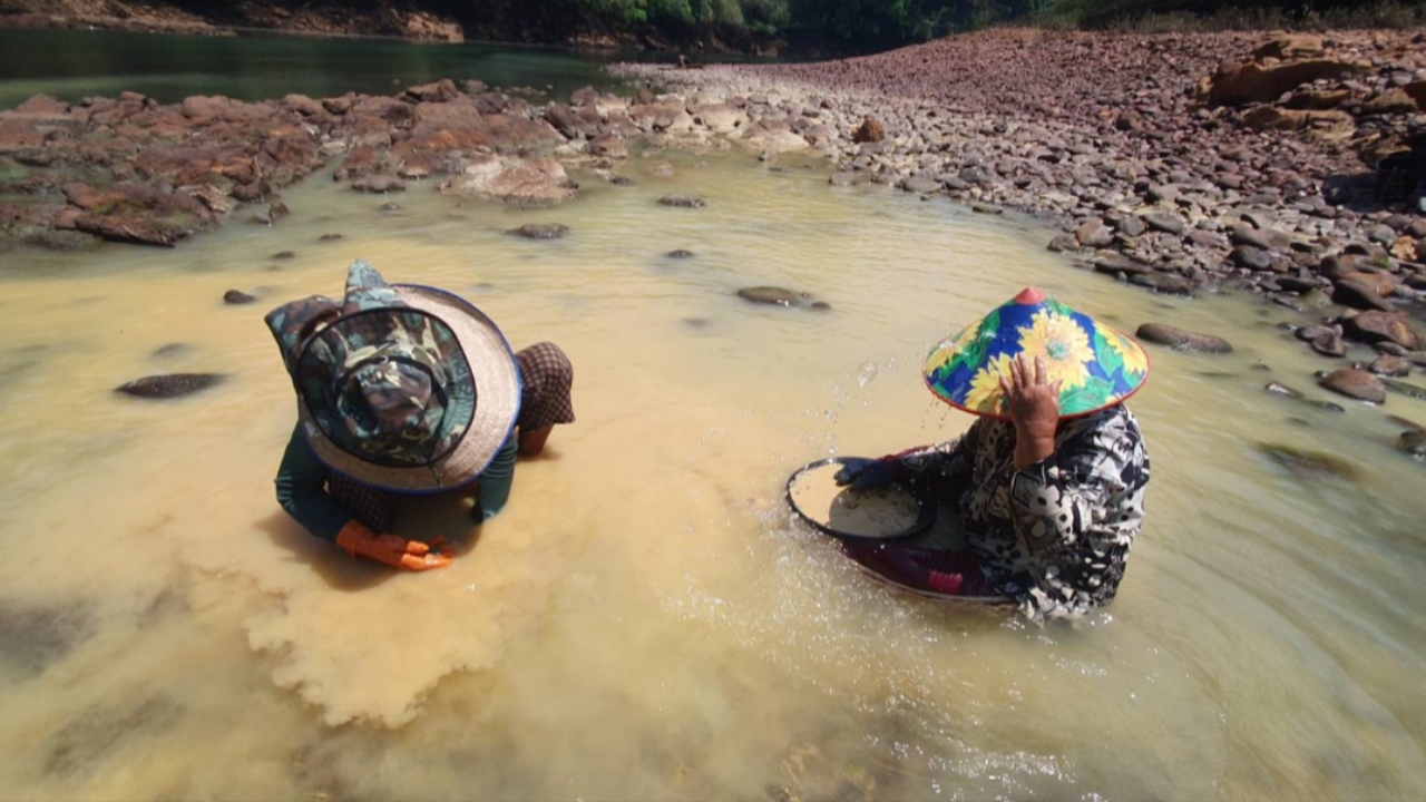 แห่ร่อนทองหา "ทองนพคุณ" ในแม่น้ำแควน้อย หลังน้ำลด