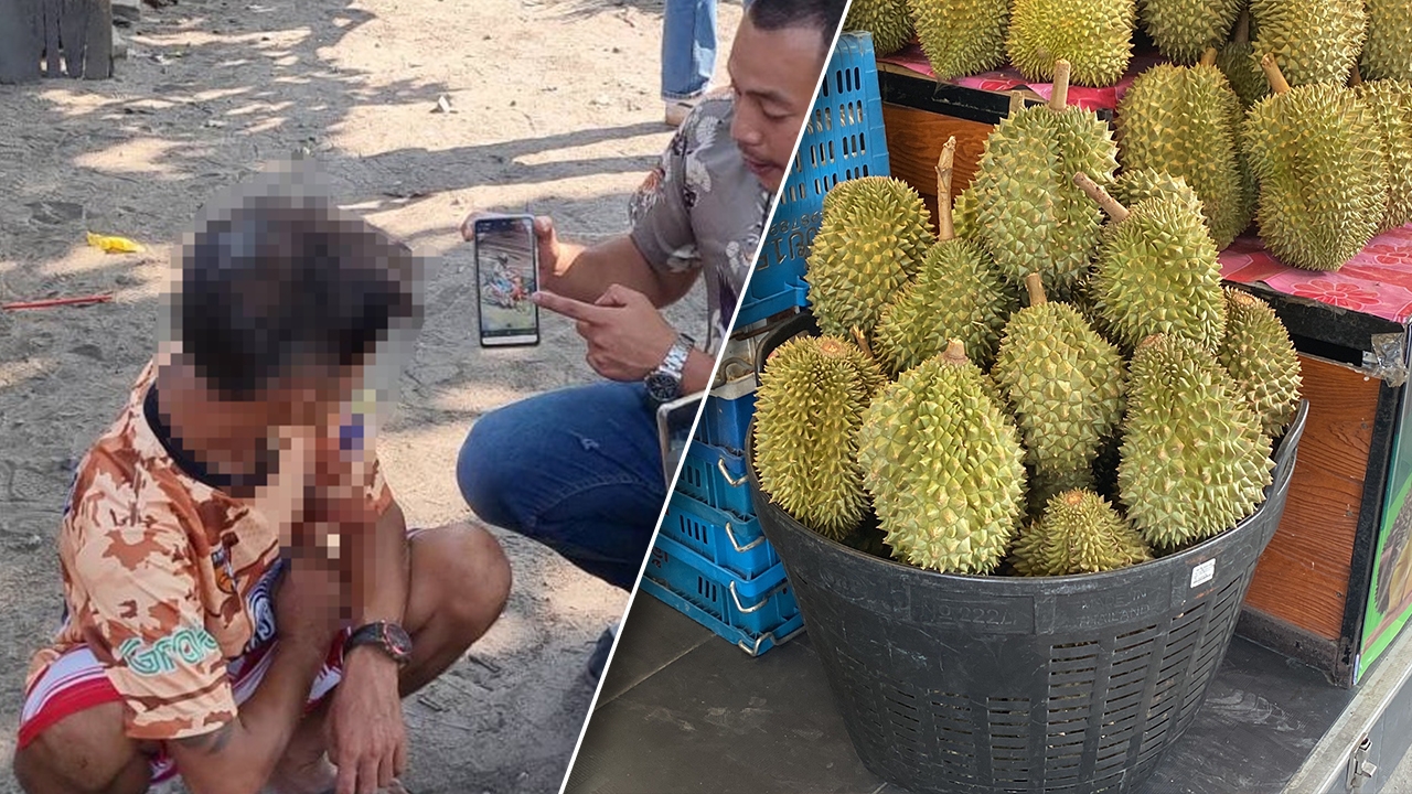 ตร.พัทยารวบโจรแสบ ลักทุเรียนยกเข่ง หลังช่วงนี้ราคาดี กก.ละ 250 อ้างเอาไปกินเอง