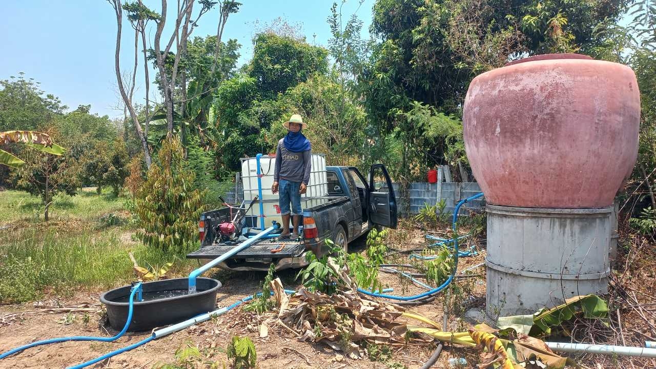 ทุเรียนภูเขาไฟศรีสะเกษ สู้ภัยแล้งยิบตา ชาวสวนลุยหาแหล่งน้ำมารดประคองต้นในสวน