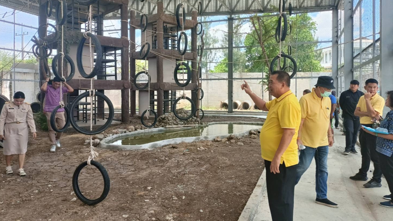 "กรงแรกพร้อม" ดีเดย์ 15 พ.ค.นี้ จับลิงลพบุรี แก๊งหน้าวังนารายณ์โดนก่อน