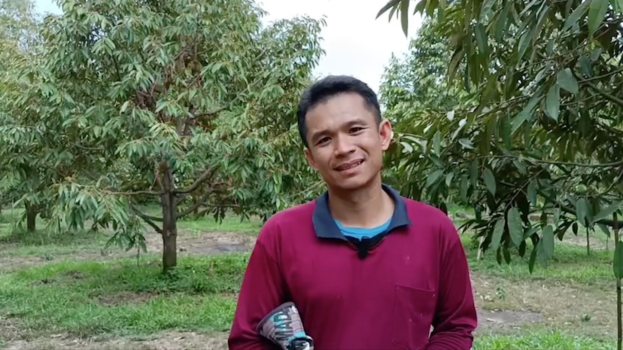 คุณครูมุกดาหารปลูกทุเรียนขายออนไลน์ ปีนี้ปังลูกค้าจองคาต้น ขายเกือบหมดสวนแล้ว