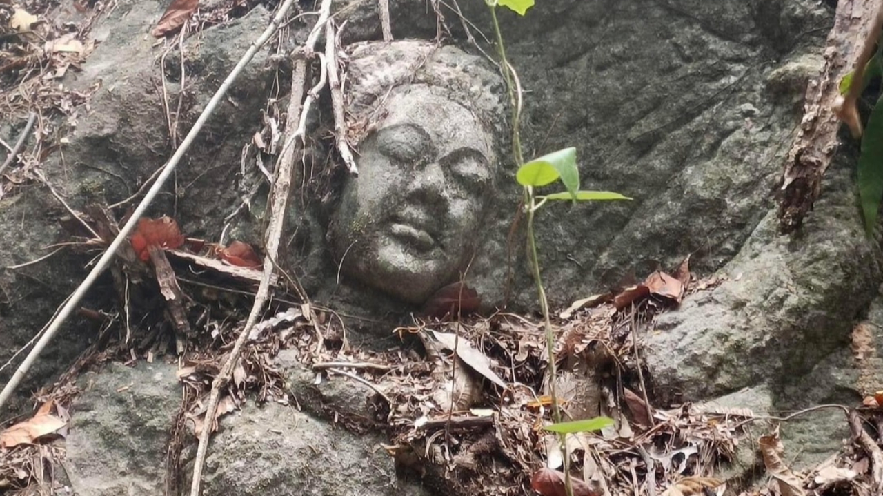 กรมศิลปากร เผยภาพแกะสลักหินในป่า เป็นฝีมือคนมีความรู้ ยังระบุอายุไม่ได้