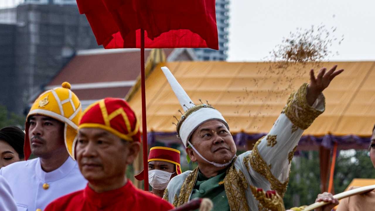 ทำความรู้จักกับ 8 พันธุ์ข้าวทรงปลูกพระราชทาน เนื่องในวันพืชมงคลฯ 2567