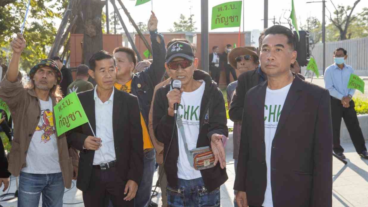 “เครือข่ายกัญชา” เดือด ขีดเส้น 7 วัน ชุมนุมเรียกร้องรัฐ กำหนดกติกากัญชาให้ชัด