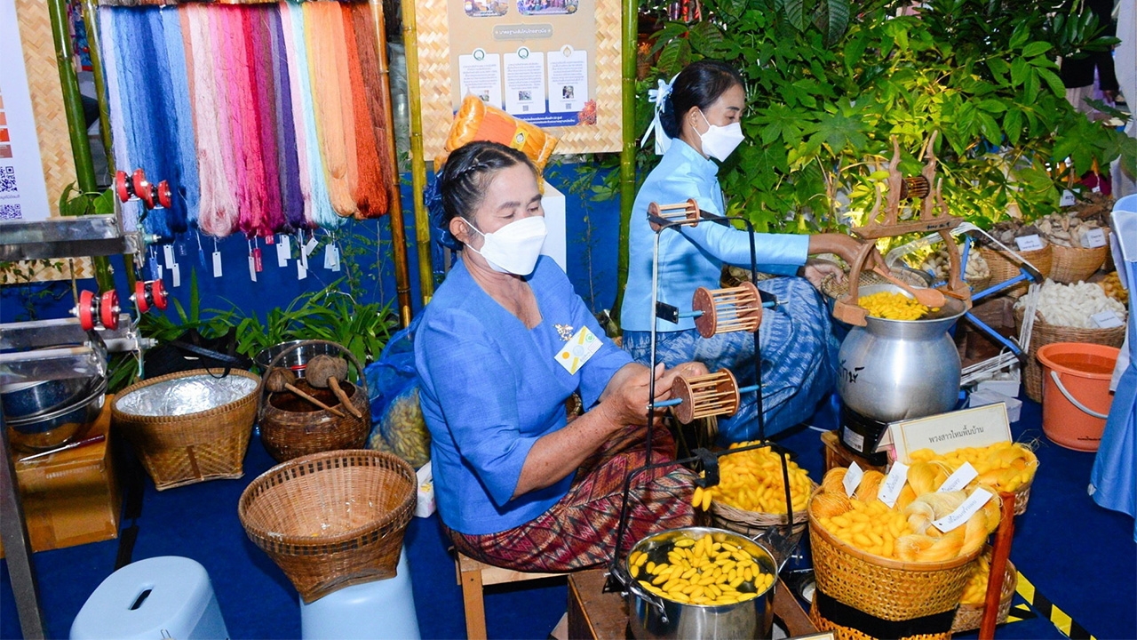 อัปเกรดกรมหม่อนไหม เพิ่มเกษตรกรหน้าใหม่