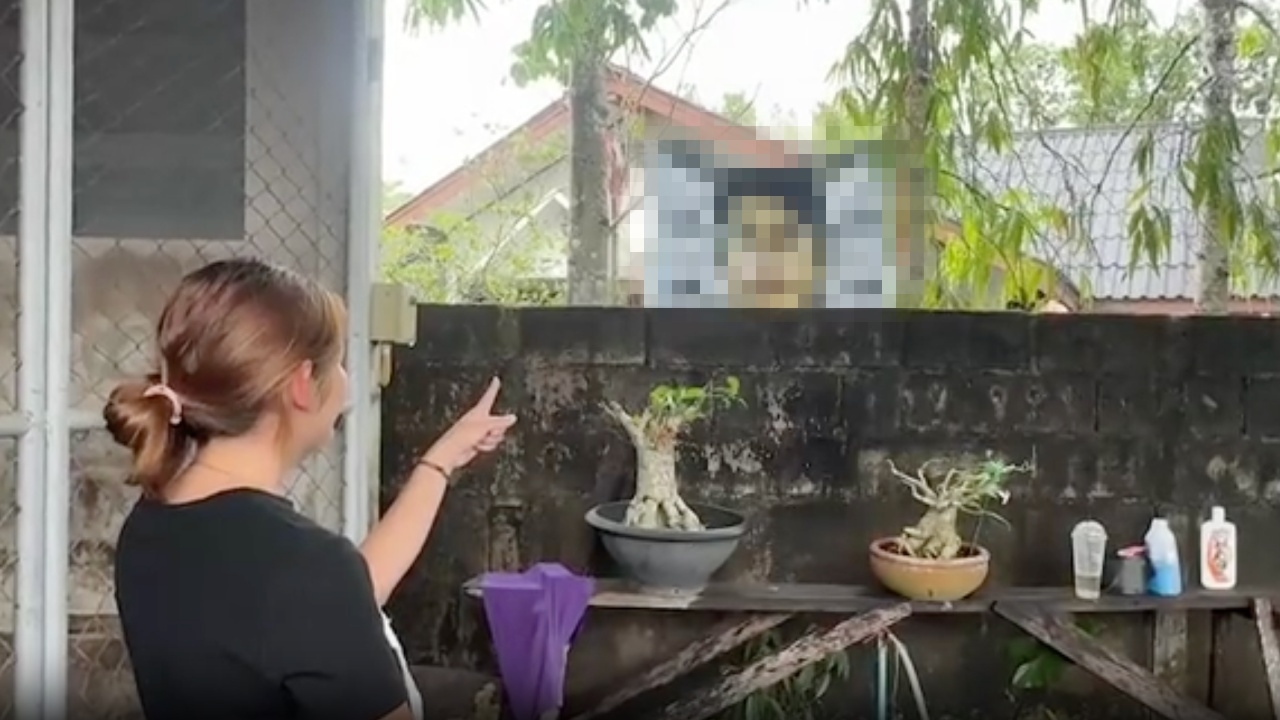 สาวหลอนข้างบ้าน ขึ้นป้ายภาพคนตาย คู่กรณียื่นคำขาด ต้องขอขมา เรื่องถึงจบ